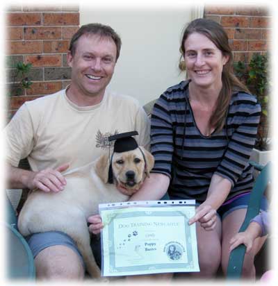 Puppy Package graduation labrador