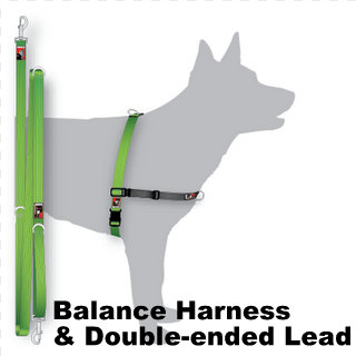 Black dog wear balance harness hotsell